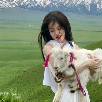 静静的生活